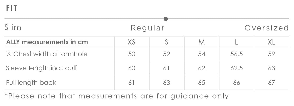 Ally shirt size chart