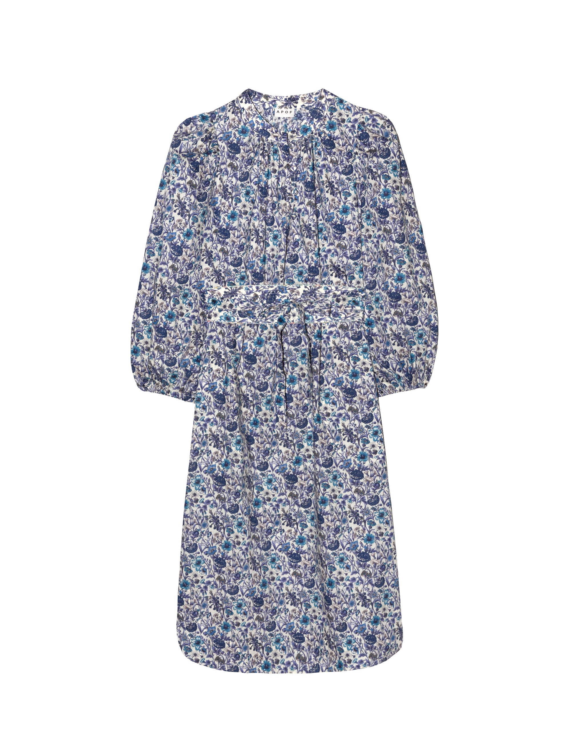 Blue flower patterned dress with long sleeves, buttons and belt