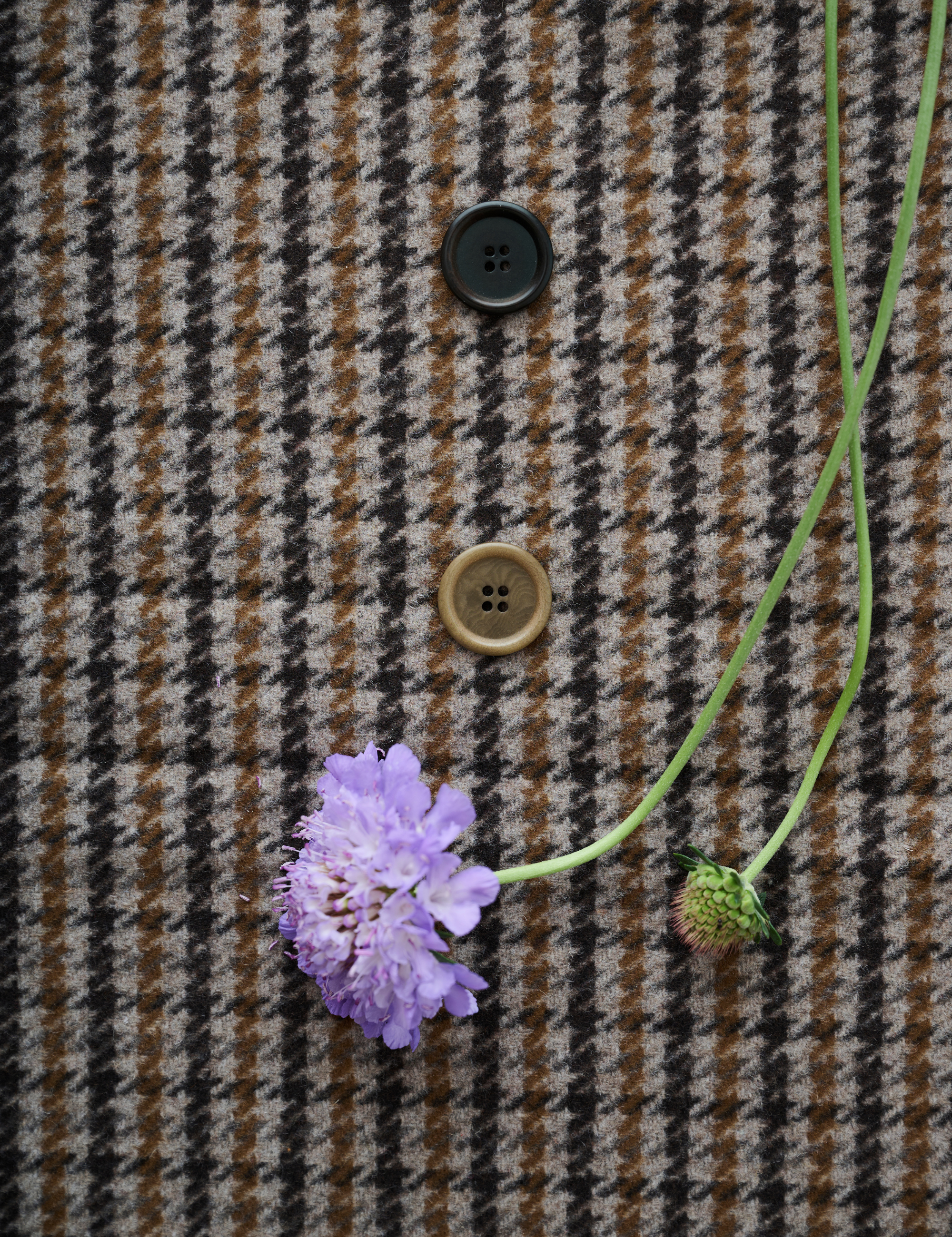 A close-up of a brown, beige, and black houndstooth patterned fabric, likely a coat or jacket, featuring two decorative buttons and a purple scabious flower laid on top.